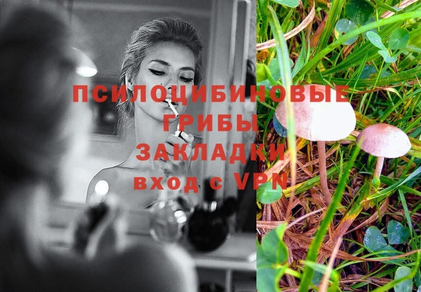 мяу мяу кристалл Елизово