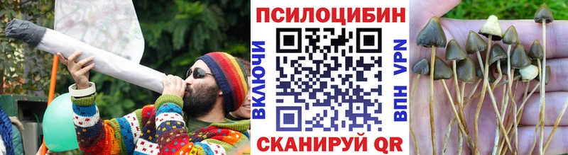 Галлюциногенные грибы GOLDEN TEACHER  Купить  Севастополь 